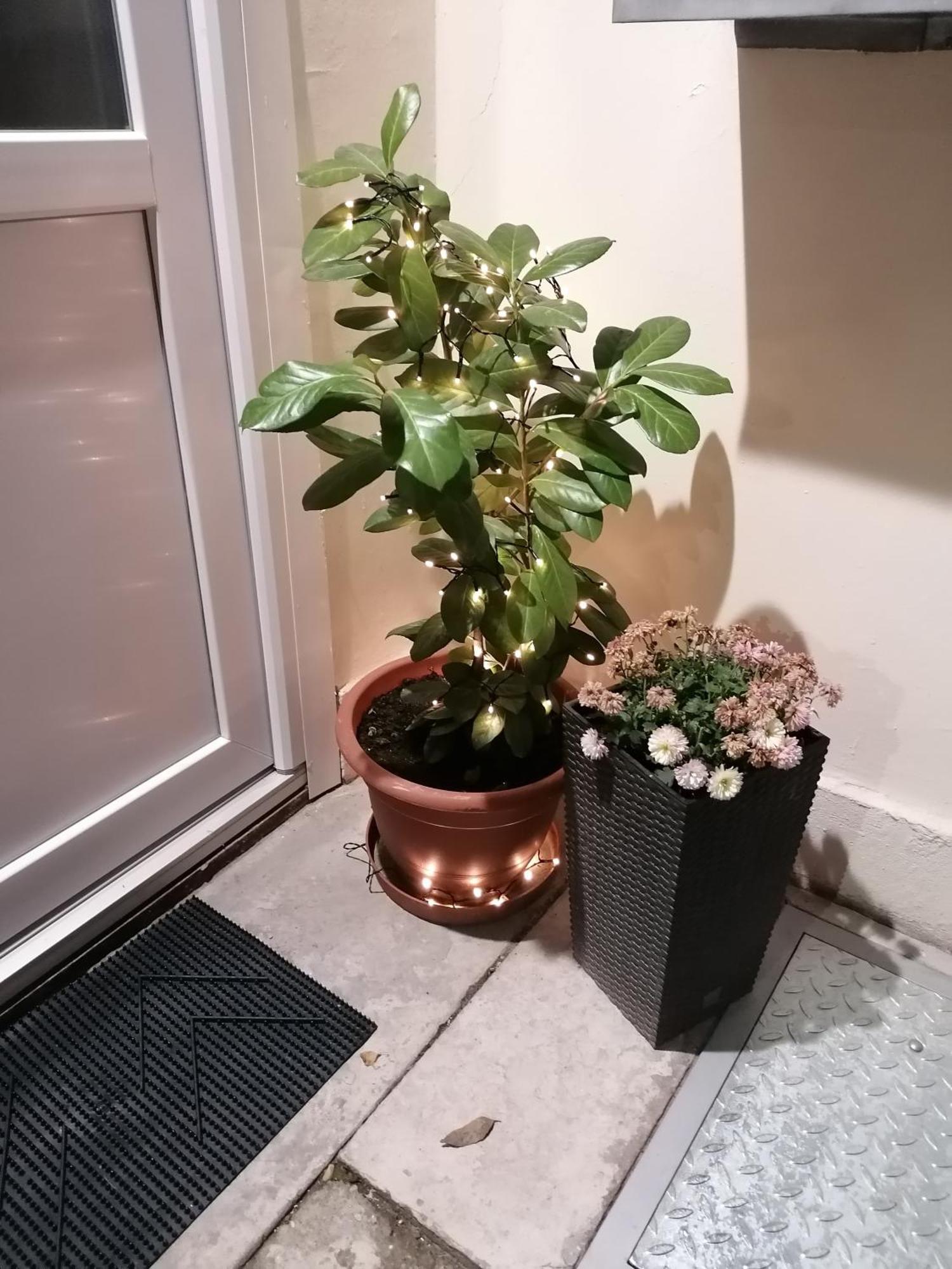 Mohacs Korona Apartman Buitenkant foto